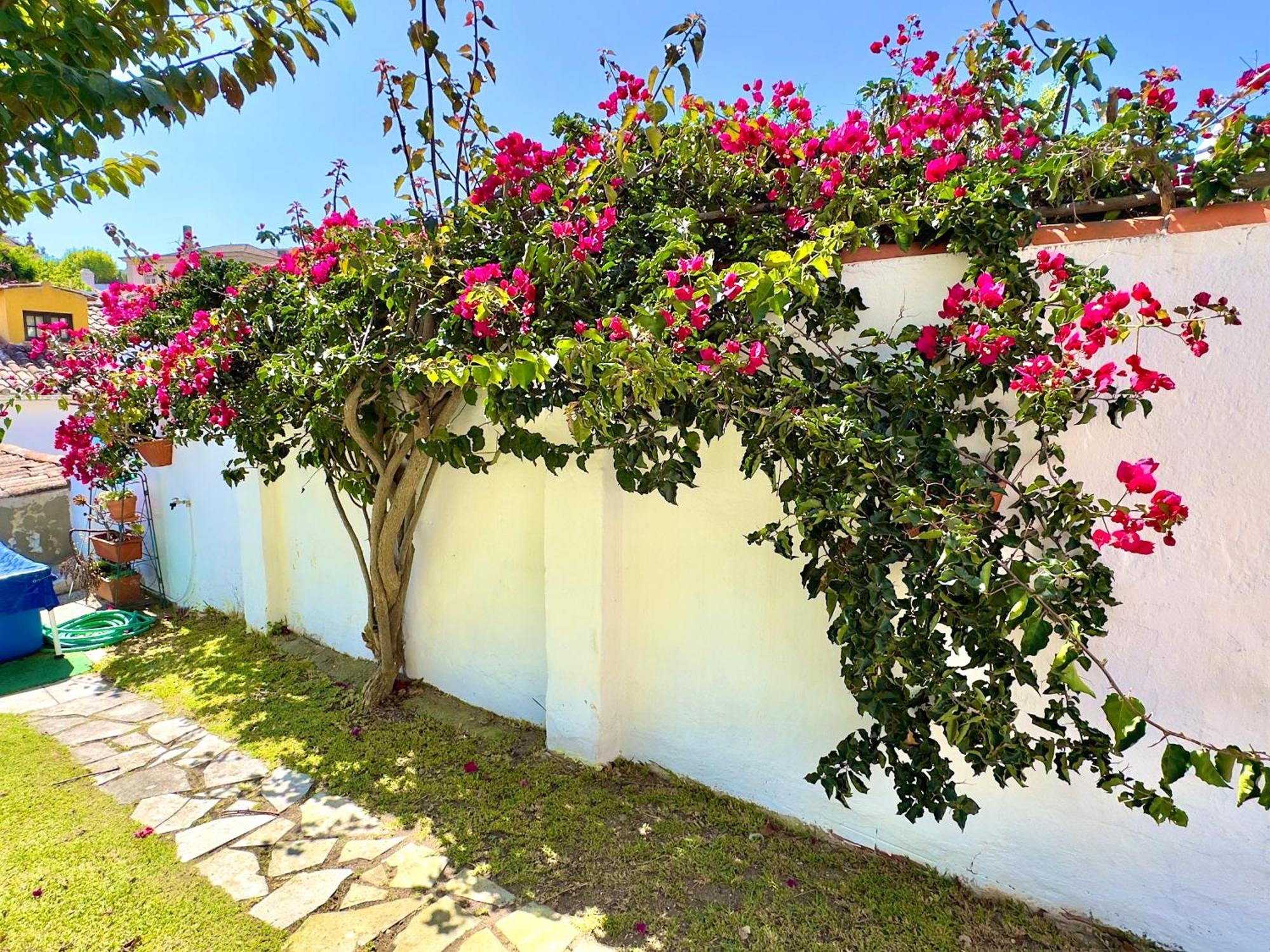 Casa Do Candeeiro โอบิดอส ภายนอก รูปภาพ
